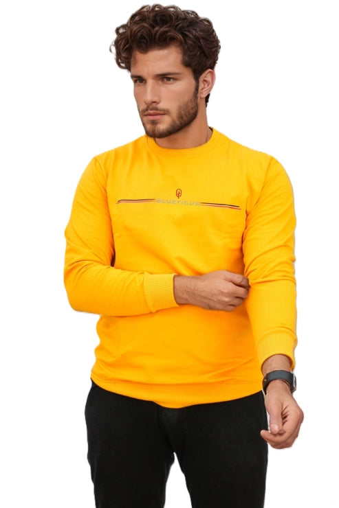 BlueFicus men’s t-shirt